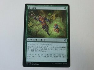 MTG 美品 【鋭い感覚】 （アンコモン） 時のらせんリマスター TSR 日 1枚迄