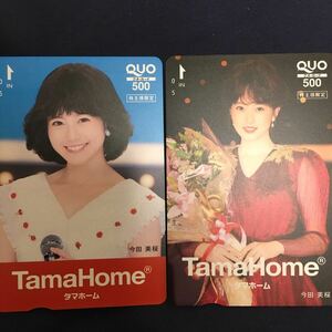  now rice field beautiful Sakura tama Home 2 sheets set QUO card telephone card sexy telephone card exhibiting 