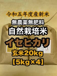 【イセヒカリ】玄米20kg(5kg袋×4) 新米　令和5年度兵庫県産 無農薬無施肥の自然栽培米