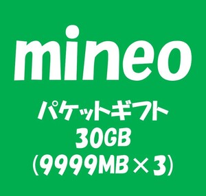 mineo_マイネオ パケットギフト約30GB (9999MB×3)_10GB以上20GB以上_ma11