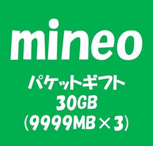 mineo_マイネオ パケットギフト約30GB (9999MB×3)_10GB以上20GB以上_ma31