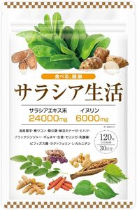 【医師監修】サラシア 24000mg イヌリン 6000mg 国産菊芋 桑の葉 16種類の厳選成分 