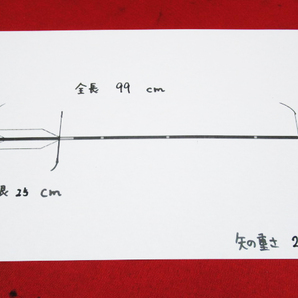 未使用 EASTON イーストン XX75 2015 ターキー白羽根 ジュラ矢 全長約99㎝ 重さ約29g 6本セット 弓道 ケース付き 管理6R0507A-G3の画像9