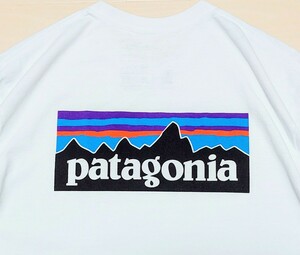 patagonia★P-6 Logo Responsibili-Tee パタゴニア レスポンシビリティ ロゴ ポケット 胸ポケ Tシャツ 半袖 メンズ L