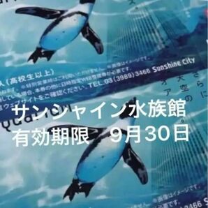 サンシャイン水族館　チケット　入場券　2枚　