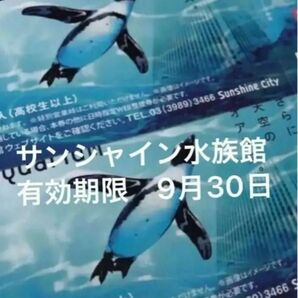 サンシャイン水族館　チケット　入場券　2枚　ペア