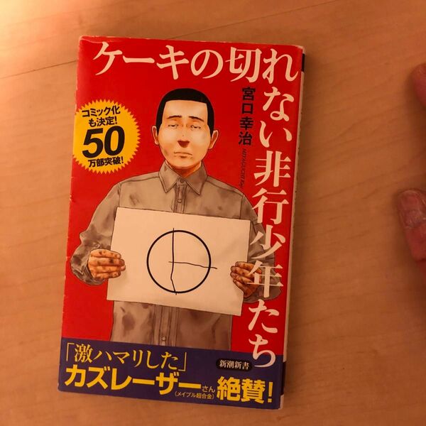 ケーキの切れない非行少年たち （新潮新書　８２０） 宮口幸治／著