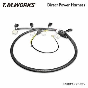 T.M.WORKS ダイレクトパワーハーネスキット ミニカ H42A H42V H47A H47V 3G83 H10.10～H15.8 DP1002