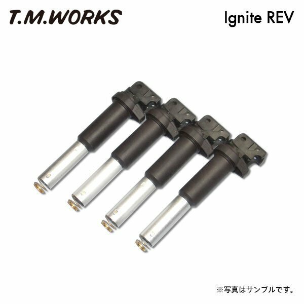 T.M.WORKS イグナイトレブ アバルト 595 312141 312142 31214T 312A1/312A3 H21～ マルチエア車取り付け不可