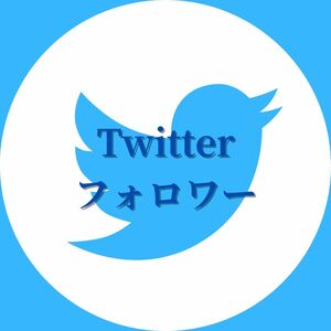 【最高品質・人気】《Ｘ(旧Twitter) フォロワー1000》おまけ～便利なSNS増加ツール～ SNS Instagram Ｘ(旧Twitter) TikTok フォロワー