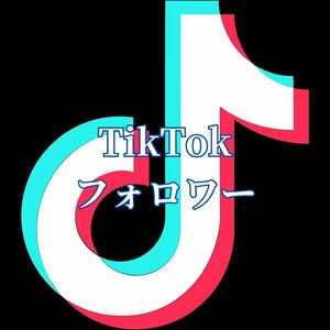 【最高品質】《TikTok フォロワー1000》おまけ～便利なSNS増加ツール～ SNS Instagram Ｘ(旧Twitter) TikTok フォロワー