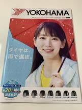 残り僅か レア 吉岡里帆 ヨコハマタイヤ コラボ 非売品 クリアファイル 夏 冬 カタログ 豪華 4種セット_画像3