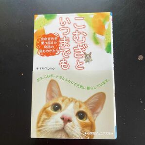 こむぎといつまでも　余命宣告を乗り越えた奇跡の猫ものがたり （小学館ジュニア文庫　ジと－１－１） ｔｏｍｏ／著