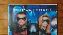 BATMAN&ROBIN/バットマン&ロビン Mr.フリーズの逆襲 TRIPLE THREAT ポスター DCコミックス 実写版 映画 雑貨_画像2
