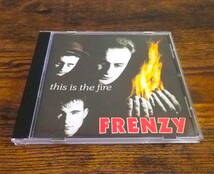 FRENZY THIS IS THE FIRE CD GRETSCH 50's ロカビリー サイコビリー PUNK クリームソーダ Stray Cats MAD SIN 柳谷睦 LA ROCKA RAT FINK_画像1