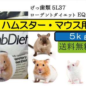 【大特価セール中】5ｋｇ【ハムスター、マウス用 エサ】ローデントダイエット ＥＱ　 5L37 Lab Diet