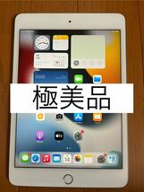 極美品　iPad mini5 64GB シルバー　ソフトバンク　中古_画像1