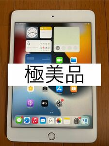 極美品　iPad mini5 64GB シルバー　Cellular 中古