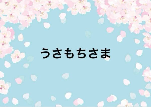 うさもちさま　オーダーページ　ピクミン　ハンドメイド　お弁当袋