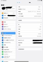 ipad pro 11 第二世代 256GB Wi-Fi スペースグレー MXDC2J/A 湾曲あり美品_画像5