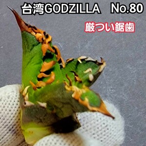  finest quality stock! Taiwan Godzilla No.80 un- ... disorder . super . just saw tooth . feature .! hard-to-find high class agave. Taiwan GODZILLA saw tooth . super . just.!