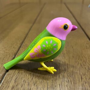 鳥　インコ　おもちゃ　おしゃべり　美品！！　セキセイインコ