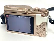 【7724】Panasonic パナソニック LUMIX ルミックス DC-GF10W-W デジタル ミラーレス 一眼カメラ 箱付 _画像8