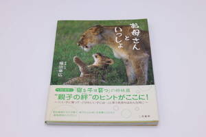 127:おかあさんといっしょ、福田幸広、中古