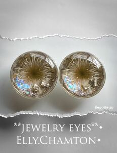 ■ec*E11*カスタム*ブライス*レジン*アイチップ*いーちゃむアイ＊blythe custom resin eyes■