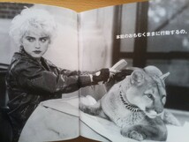即決 マドンナ Inspirations Madonna 日本語版_画像3