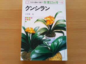 即決 君子蘭 クンシランの栽培・育て方・開花株の管理・苗の管理・病気と害虫の対策・青葉種・斑入り・普通種・古典園芸植物