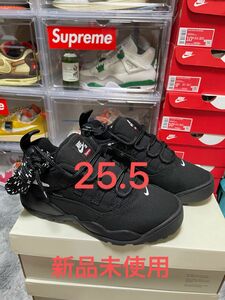 Supreme × Nike SB Darwin Low 