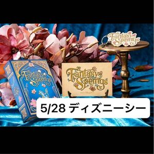 ディズニーシー　5/28 チケット