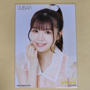 NMB48 貞野遥香 月別ランダム生写真 2023 April-rd 4月 Aの画像1