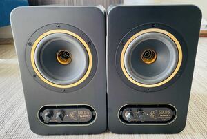 TANNOY GOLD5 ペア