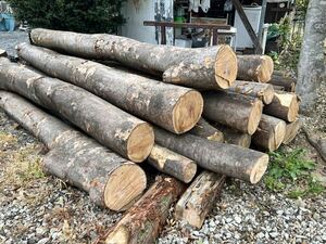 . tree firewood zelkova Sakura mknoki kilo 20 jpy 