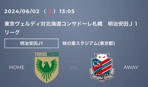 6月2日（日）東京ヴェルディ vs コンサドーレ札幌　味の素スタジアム　バックBホーム席大人１枚