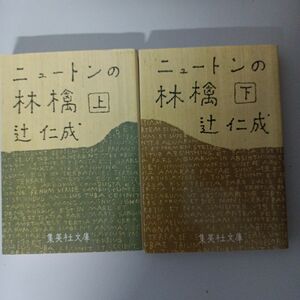 ニュートンの林檎　上下巻　2冊セット （集英社文庫） 辻仁成／著