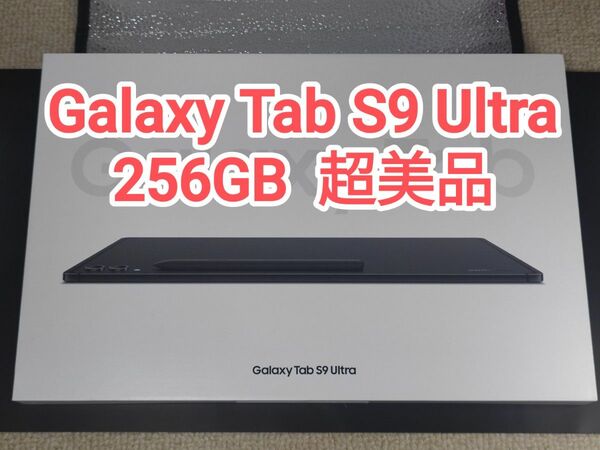Galaxy Tab S9Ultra 256GB WiFi専用 韓国版