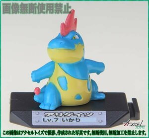 即決) ポケットモンスター ポケモンバトルミュージアム8 アリゲイツ