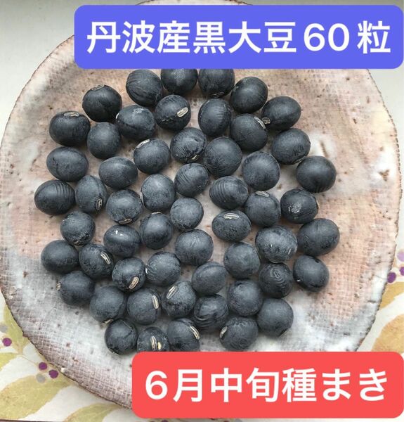 ①丹波産黒豆60粒