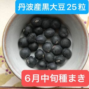 ①丹波産黒豆　25粒