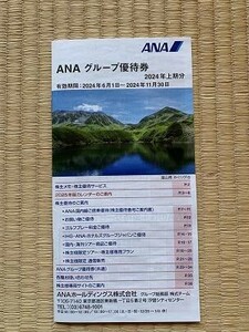 ANAグループ優待券冊子(2024年上期分)