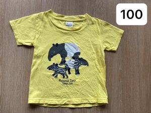 100 Tシャツ　半袖　多摩動物公園　キッズ　子供服