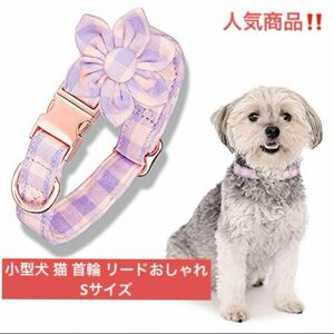 【即日発送】【人気商品】【早い者勝ち】小型犬 犬用 首輪 花柄 リードオシャレSサイズ ピンク