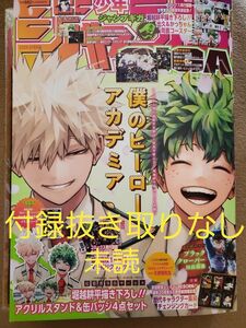 ジャンプGIGA 2024SPRING 未読 付録抜き取り無し 週刊少年ジャンプ増刊 ヒロアカ 僕のヒーローアカデミア