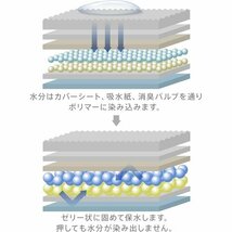 Famy 200枚入り×4 800枚入り レギュラー 1回使い切りタイプ 薄型 うす型 ペットシーツ ファミー 10_画像5