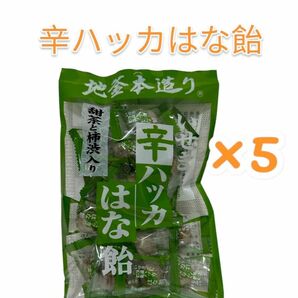 【柿渋】井関食品　甜茶と柿渋入り辛ハッカはな飴　100g ×5