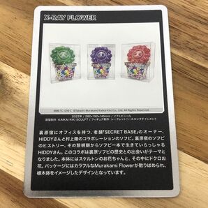 村上隆 もののけ京都 X-RAY FLOWERS