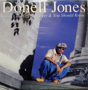 【12's R&B】Donell Jones「Knocks Me Off My Feet & You Should Know」US盤 シュリンク付 Stevie Wonder カバー曲！